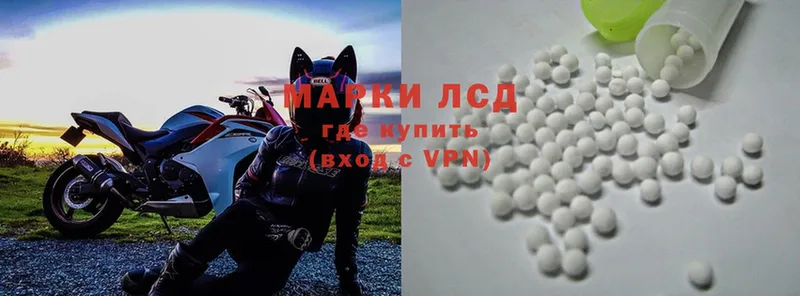 маркетплейс телеграм  Волхов  ЛСД экстази ecstasy 