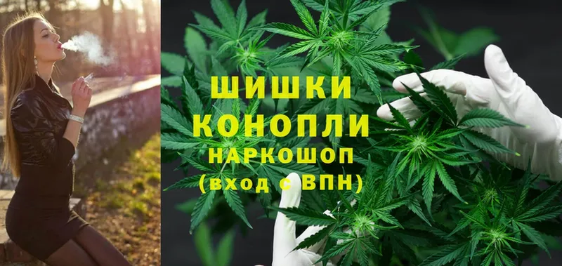 OMG вход  Волхов  Конопля SATIVA & INDICA  купить  